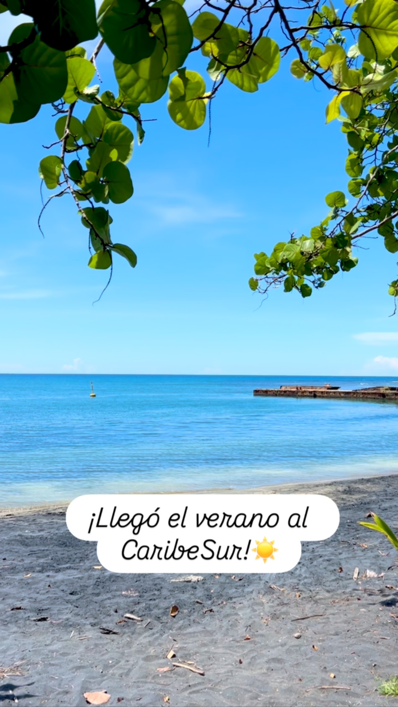 ¿Haz escuchado hablar del “Verano Caribeño” de  Costa Rica?

En Setiembre y Octubre cuando la mayoría de las provincias de nuestro país están teniendo fuertes lluvias, aquí en el Caribe nuestros días son soleados y con el mar de colores espectaculares. 

Ven a disfrutarlo con nosotros en Mya’s Place, nuestra adorable casita en Cocles o en KiaMimi nuestras habitaciones en Playa Negra.

Para información o reservas al whatsapp: 📲 8609 2424 (https://wa.link/5uj1n0).

¡Te esperamos! 🌊 ☀️ 🏝️ 🥥 

#caribe #costarica #puertoviejo #puravida #airbnb #playa #caribesur #airbnbsuperhost #verano #mar