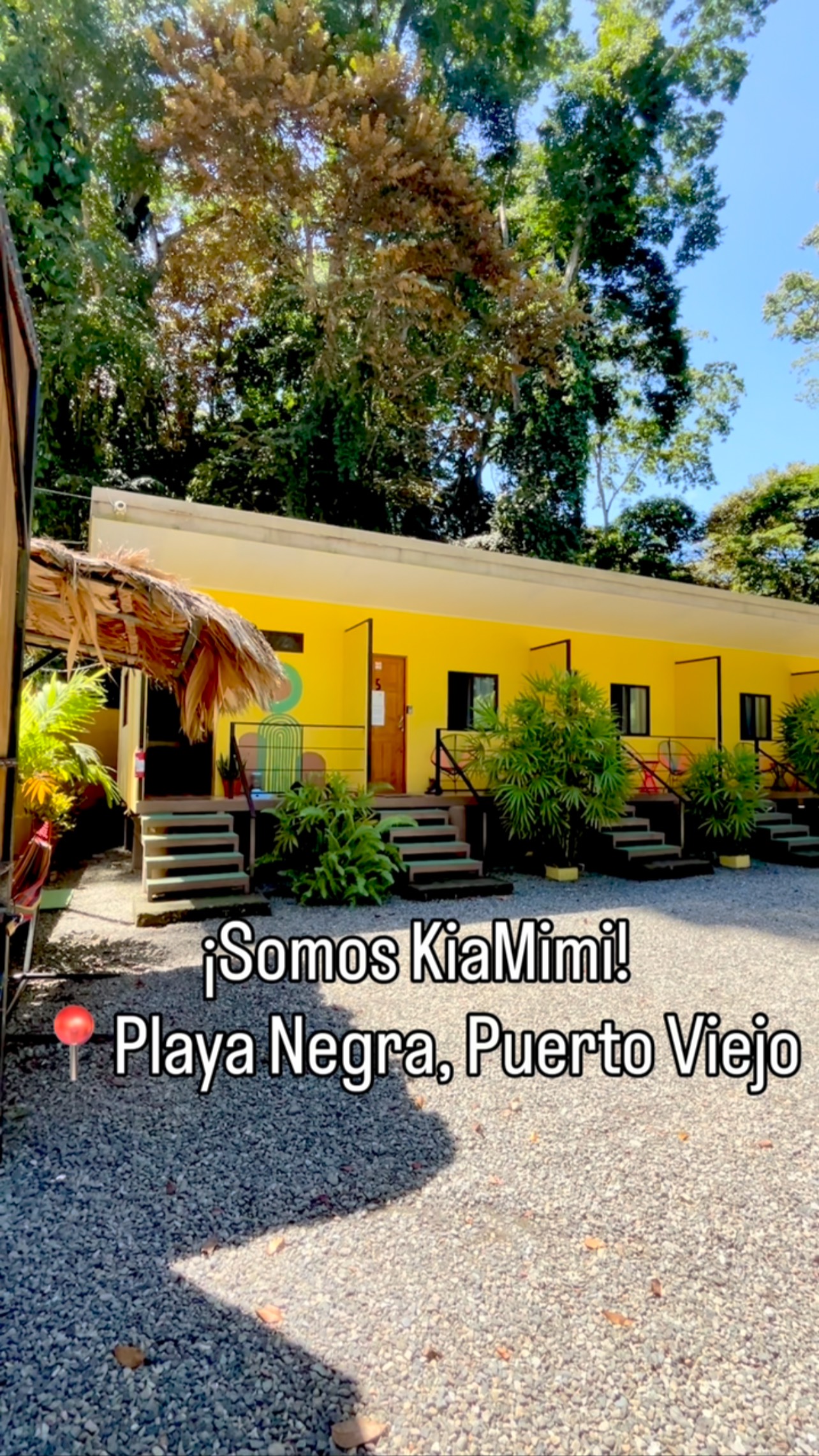 En KiaMimi tenemos: 

🔹 2 habitaciones con AC ❄️
🔹 3 habitaciones con abanico 🪭
🔹 baño privado 🚽
🔹 agua caliente 🚿
🔹 WiFi 🛜
🔹 Cocina compartida 🥘
🔹 Parqueo cerrado 🚙
🔹 Piscina 🏊🏻

📍Playa Negra, Puerto Viejo 

☎️ Reservas 8609 2424

¡Los esperamos! 

#caribe #costarica #puertoviejo #puravida #airbnb #playa #caribesur #airbnbsuperhost #playanegra #habitaciones