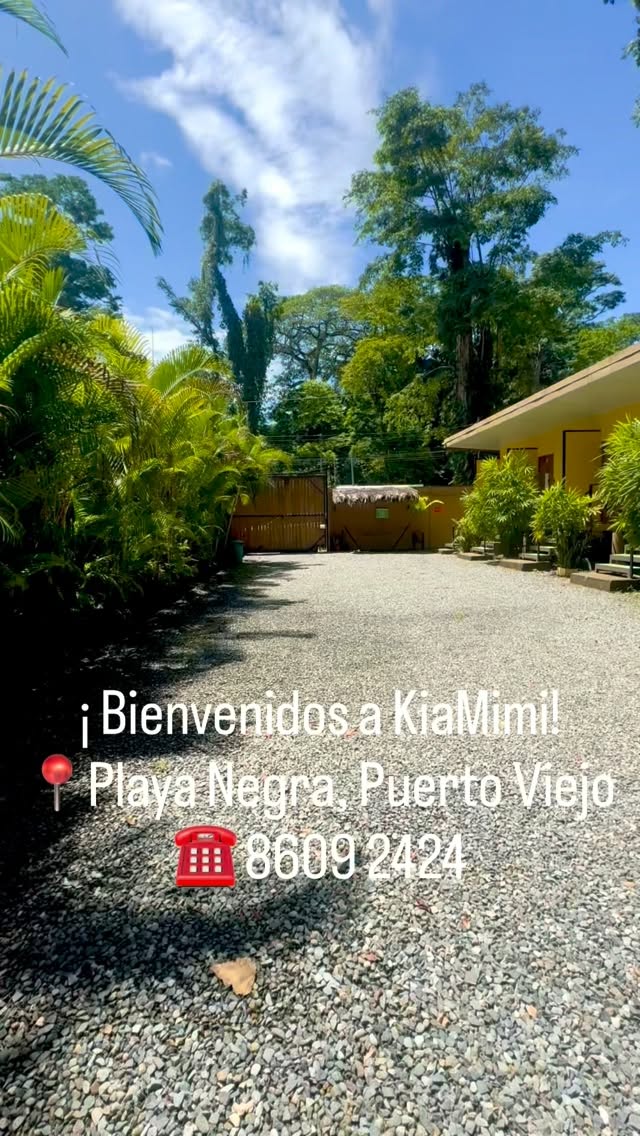 En KiaMimi tenemos: 

🔹 2 habitaciones con AC ❄️
🔹 3 habitaciones con abanico 🪭
🔹 baño privado 🚽
🔹 agua caliente 🚿
🔹 WiFi 🛜
🔹 Cocina compartida 🥘
🔹 Parqueo cerrado 🚙
🔹 Piscina 🏊🏻

📍Playa Negra, Puerto Viejo 

☎️ 8609 2424

#habitaciones #playa #puertoviejo #caribe